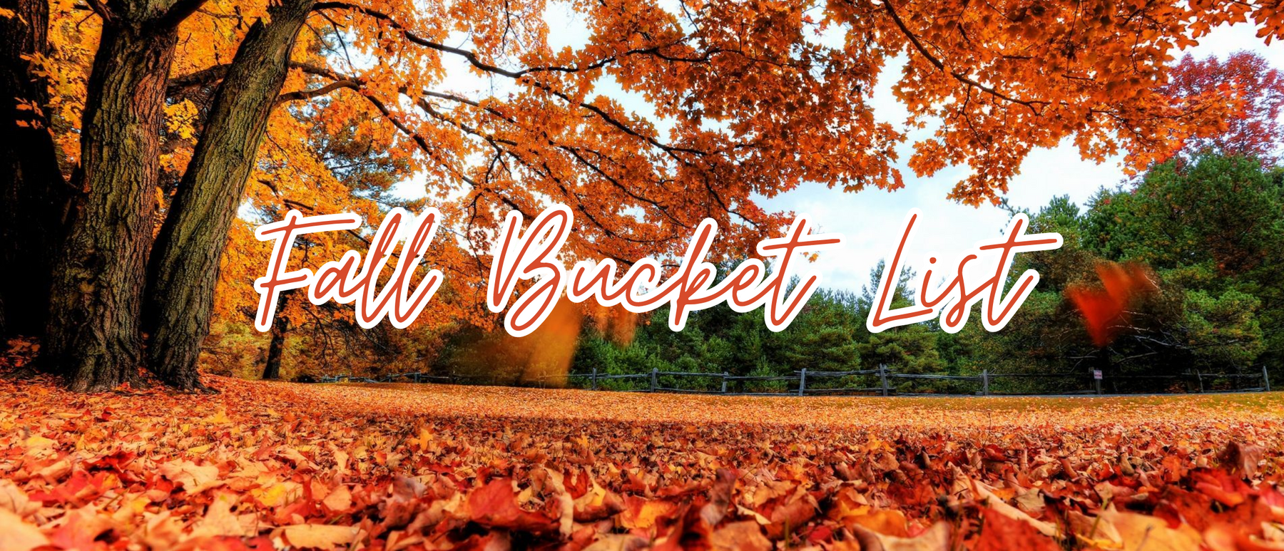 From Hayrides to Happy Hours: Your Fall Bucket List Starts Here!