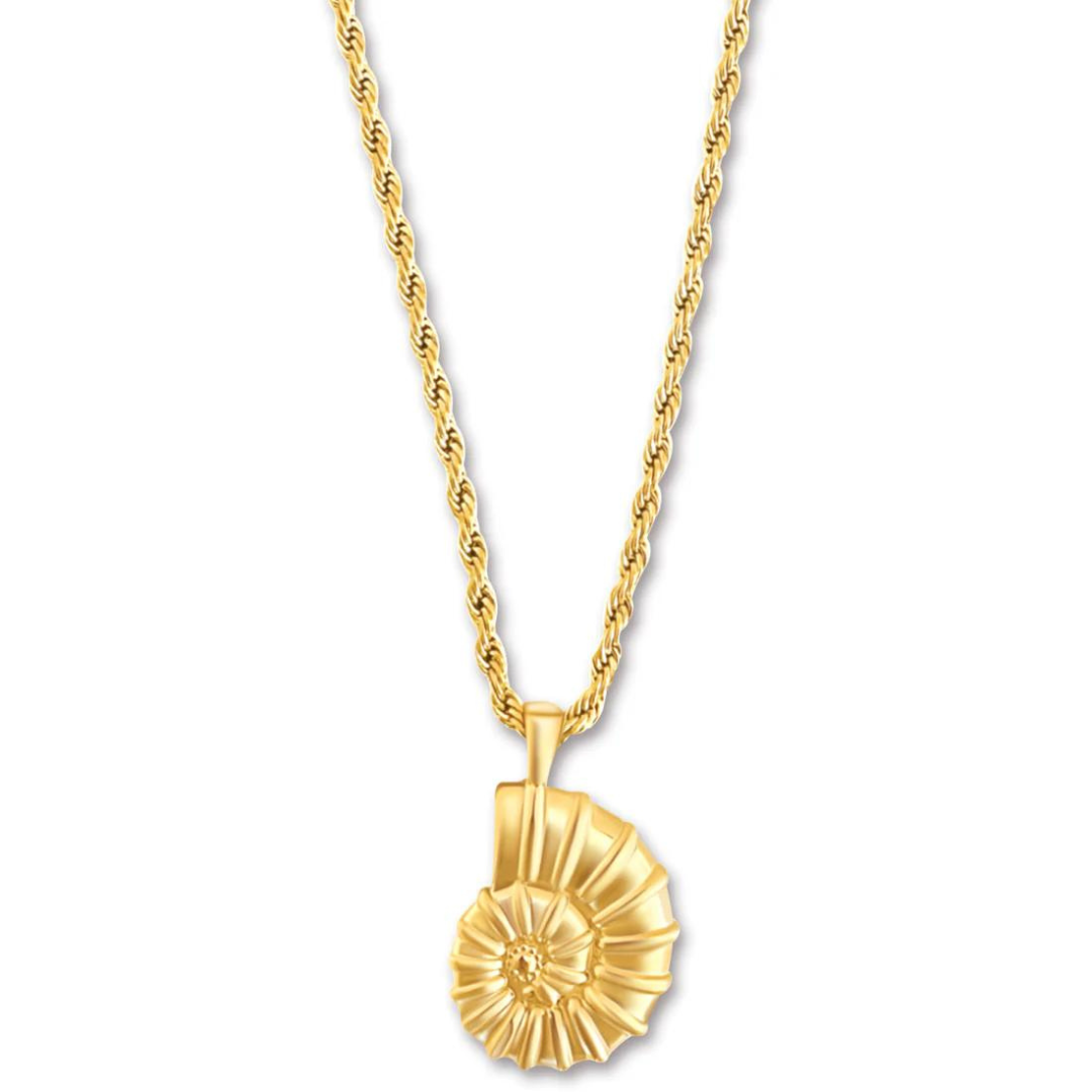 Ellie Vail Eliana Oversized Shell Necklace