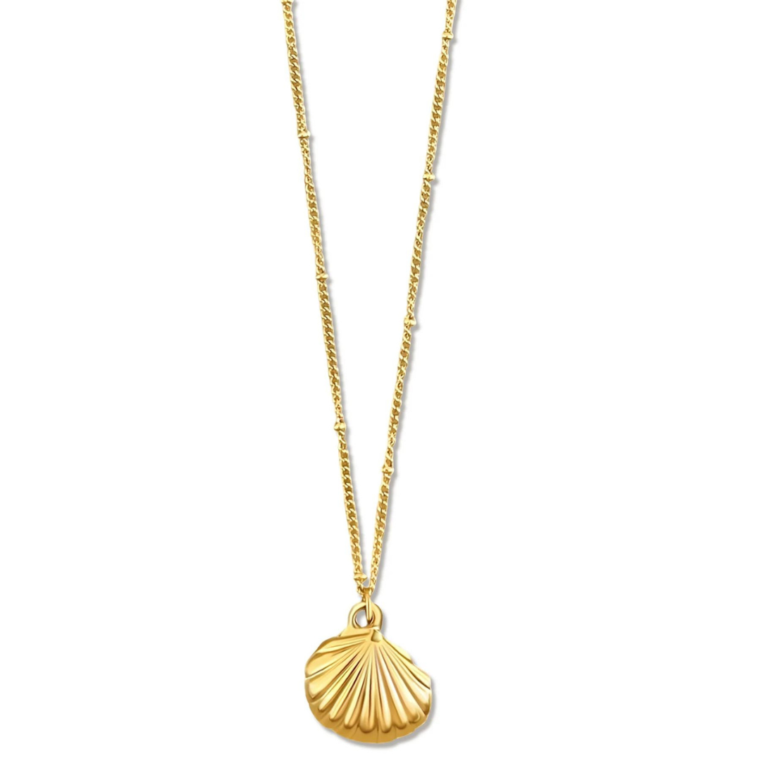 Ellie Vail Georgina Shell Pendant Necklace