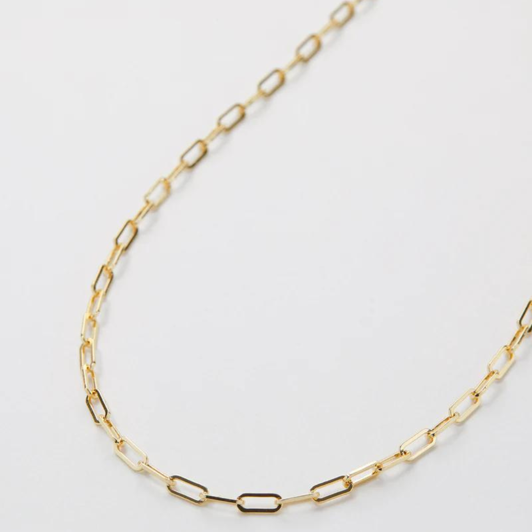 Bryan Anthonys Delicate Paperclip Chain Necklace