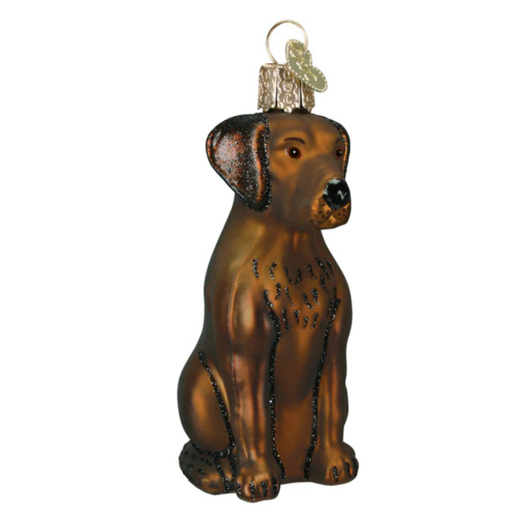 Old World Christmas Chocolate Labrador Ornament