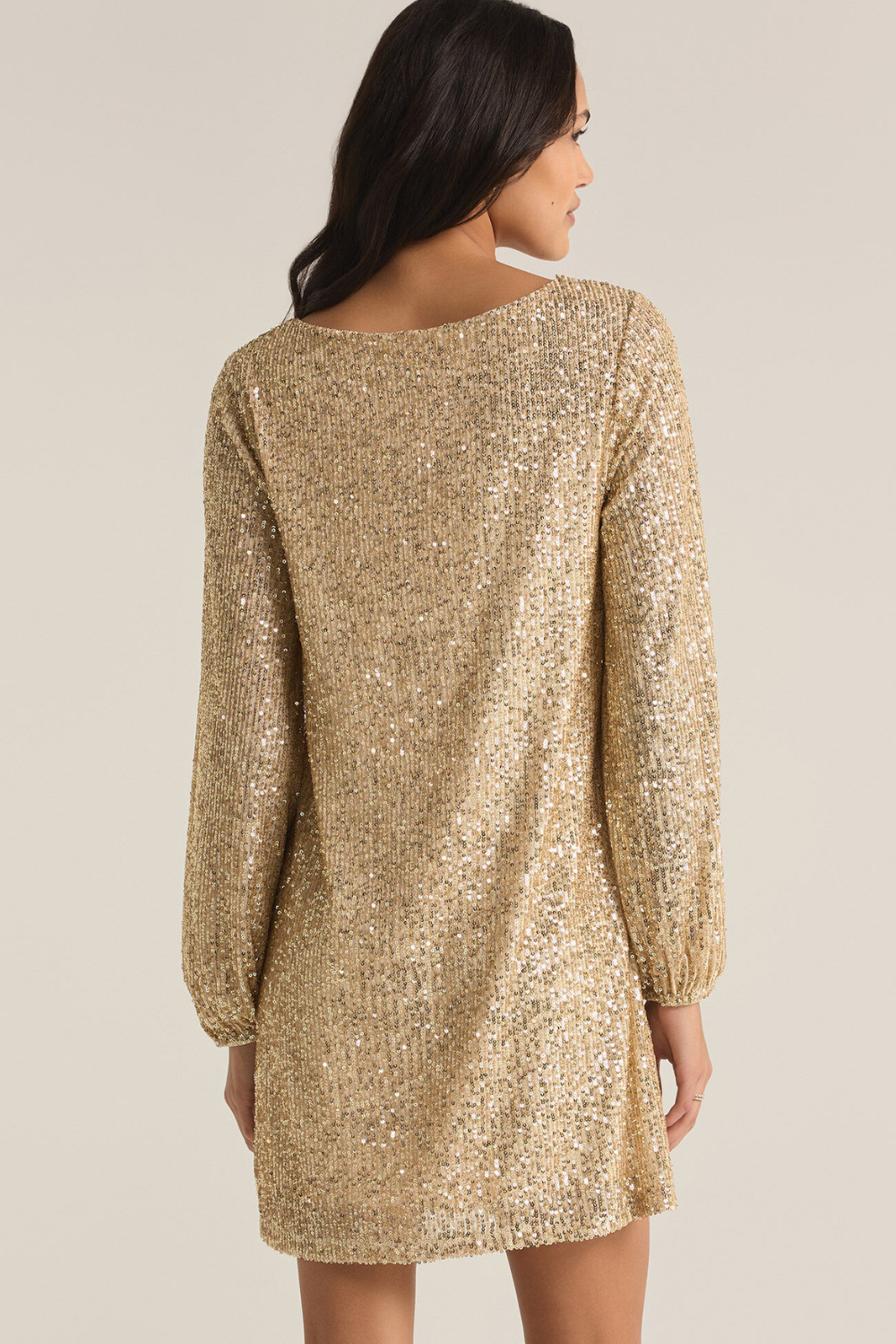 Z Supply Andromeda Sequin Dress