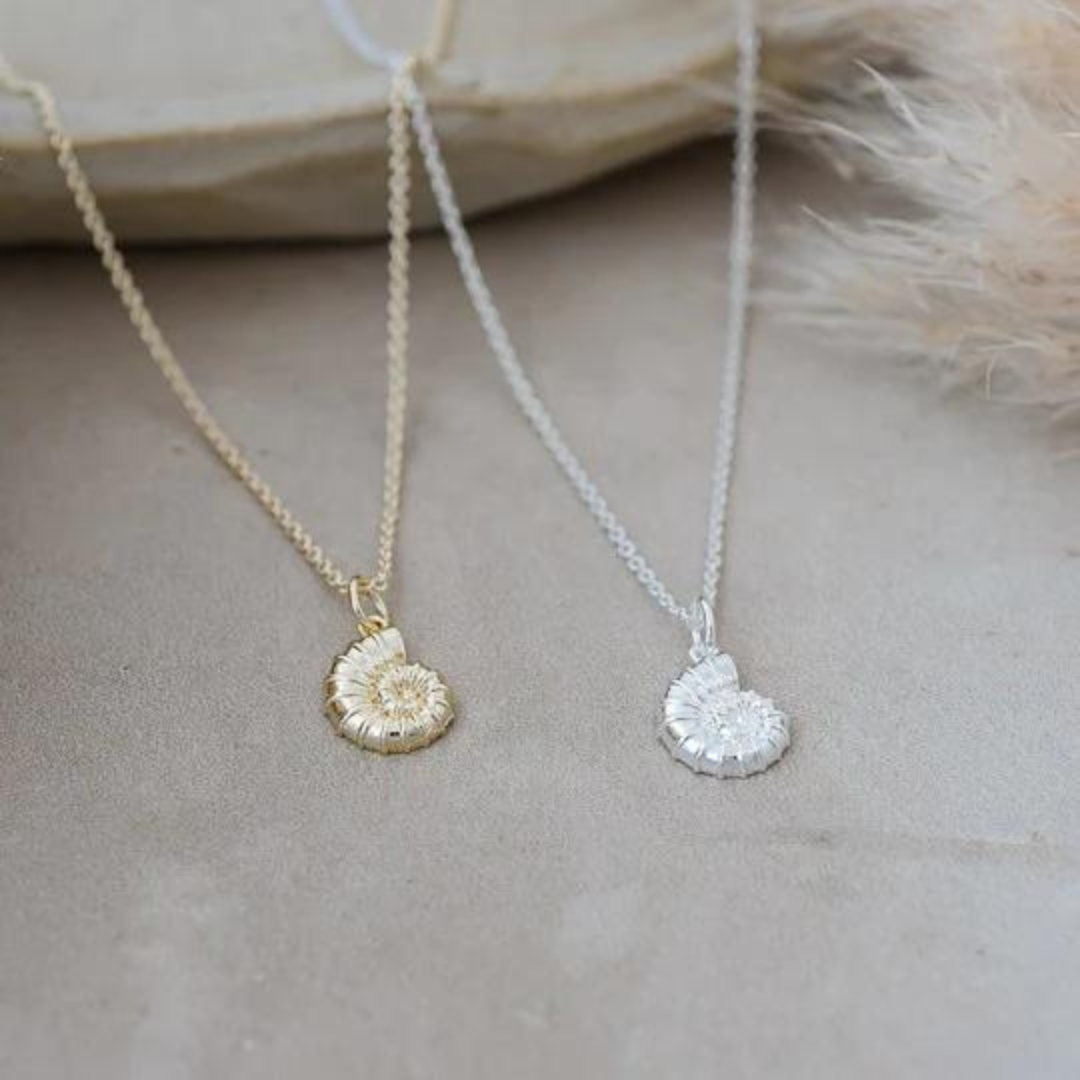 Glee Spiral Shell Necklace