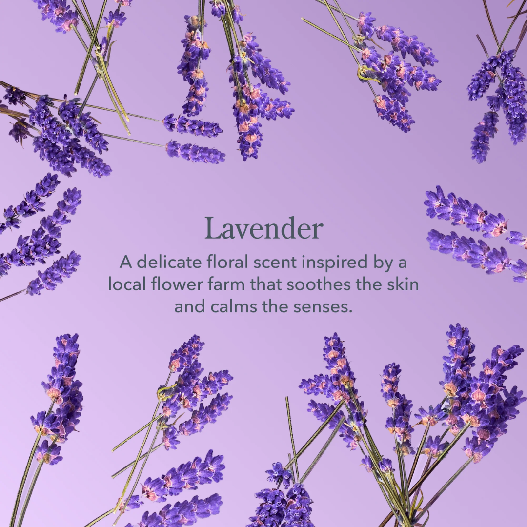 Lavender flowers on a purple background with text about the scent.