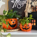 Mud Pie Jack-O-Lantern Treat Bucket