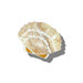 Decorative shell with gold accents on a white background