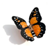Butterfly-shaped hair clip with orange and black wings on a white background