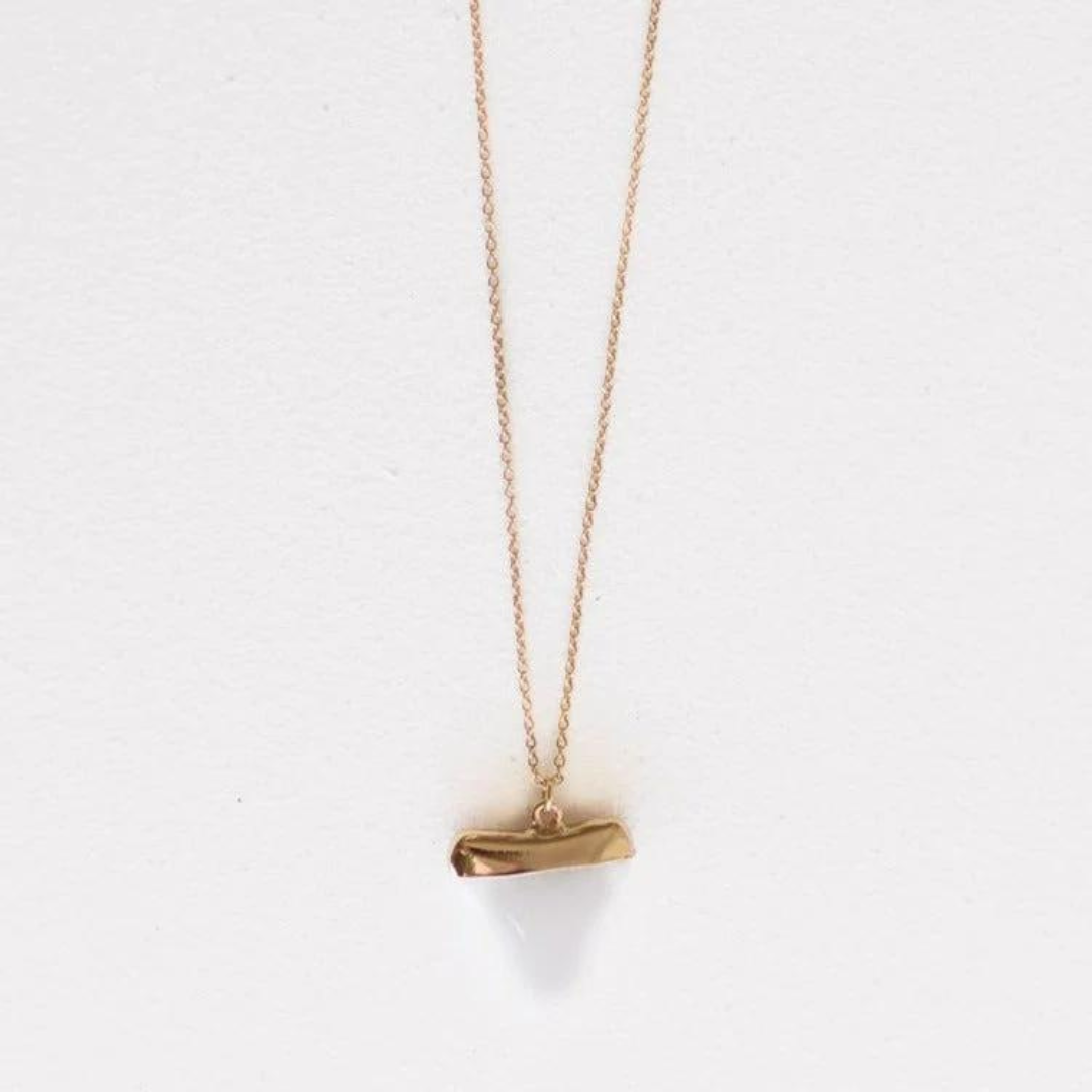 Leslie Curtis Ace Shark Tooth Necklace