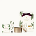 Thymes Frasier Fir Novelty Holiday Gift Set - The Cottage