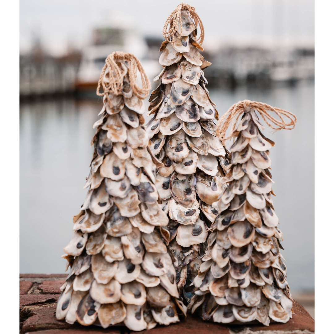 Stetson Seashells Oyster Shell Tree