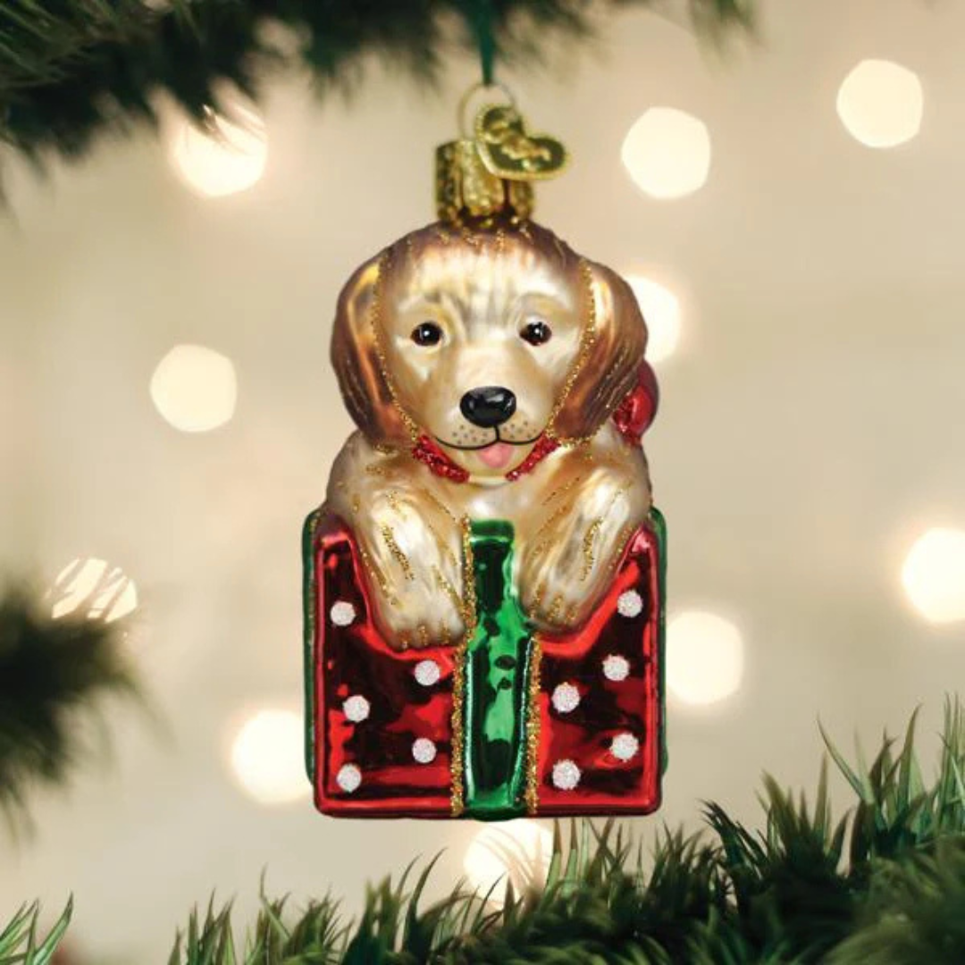 Old world Christmas Golden Puppy Surprise Ornament