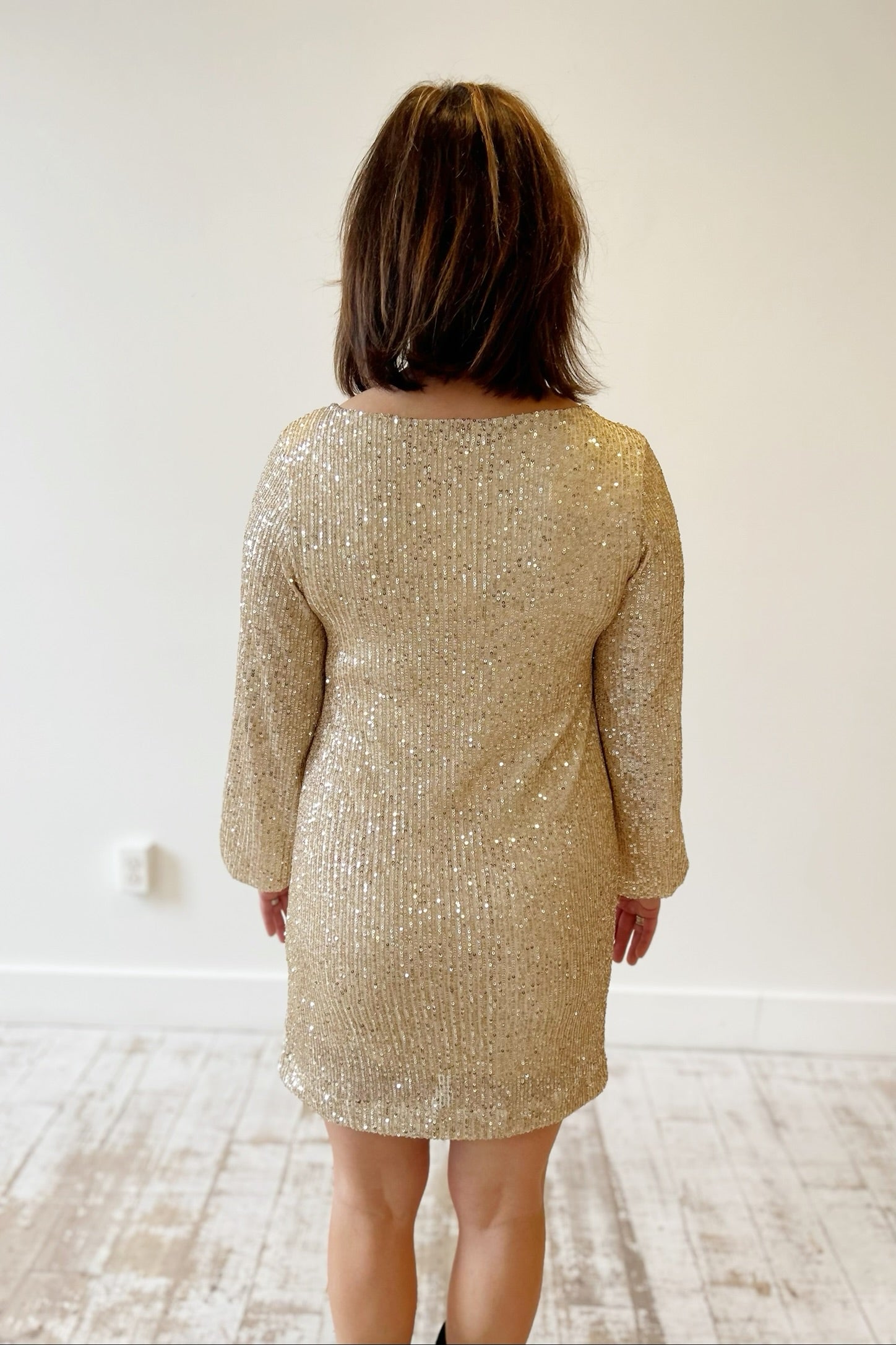 Z Supply Andromeda Sequin Dress