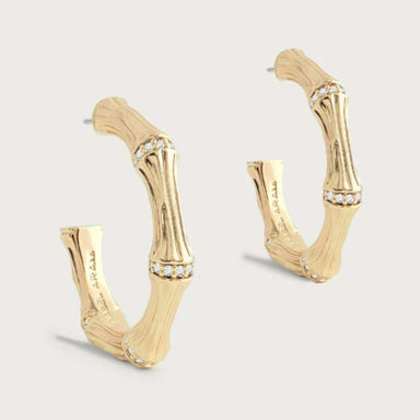 Anabel Aram Bamboo Medium Hoop Earrings- Gold - Anabel Aram Jewelry