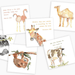 Anne Neilson Children's Scripture Cards - Anne Neilson Home