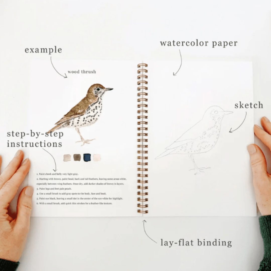 Emily Lex Studios Birds Watercolor Workbook w/ Paint - emily lex studio