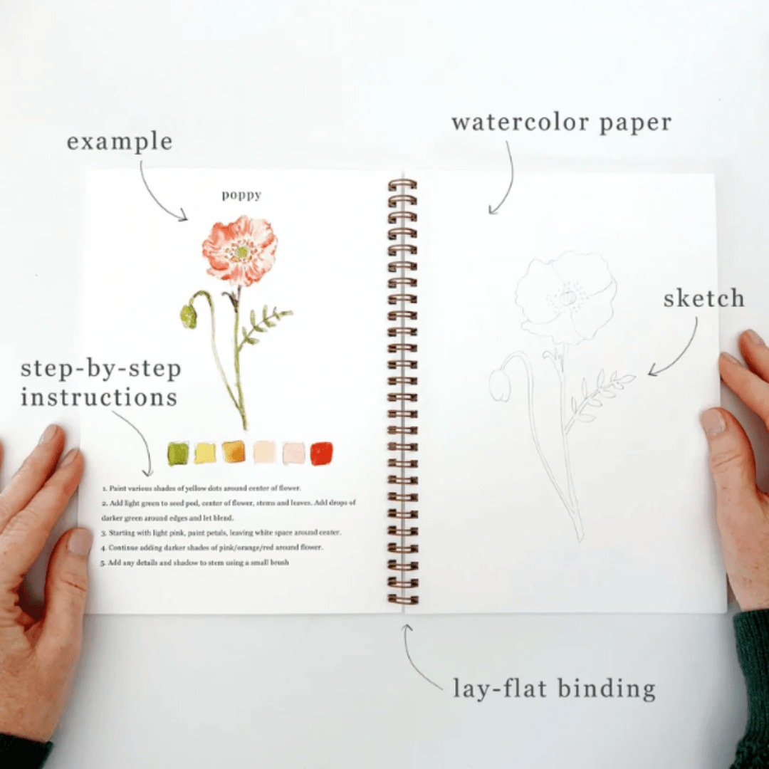 Emily Lex Studios Flowers Watercolor Workbook w/ Paint - emily lex studio