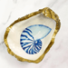 Grit & Grace Decoupage Oyster Shell Jewelry Dish - Nautilus Shell - Grit & Grace Studio