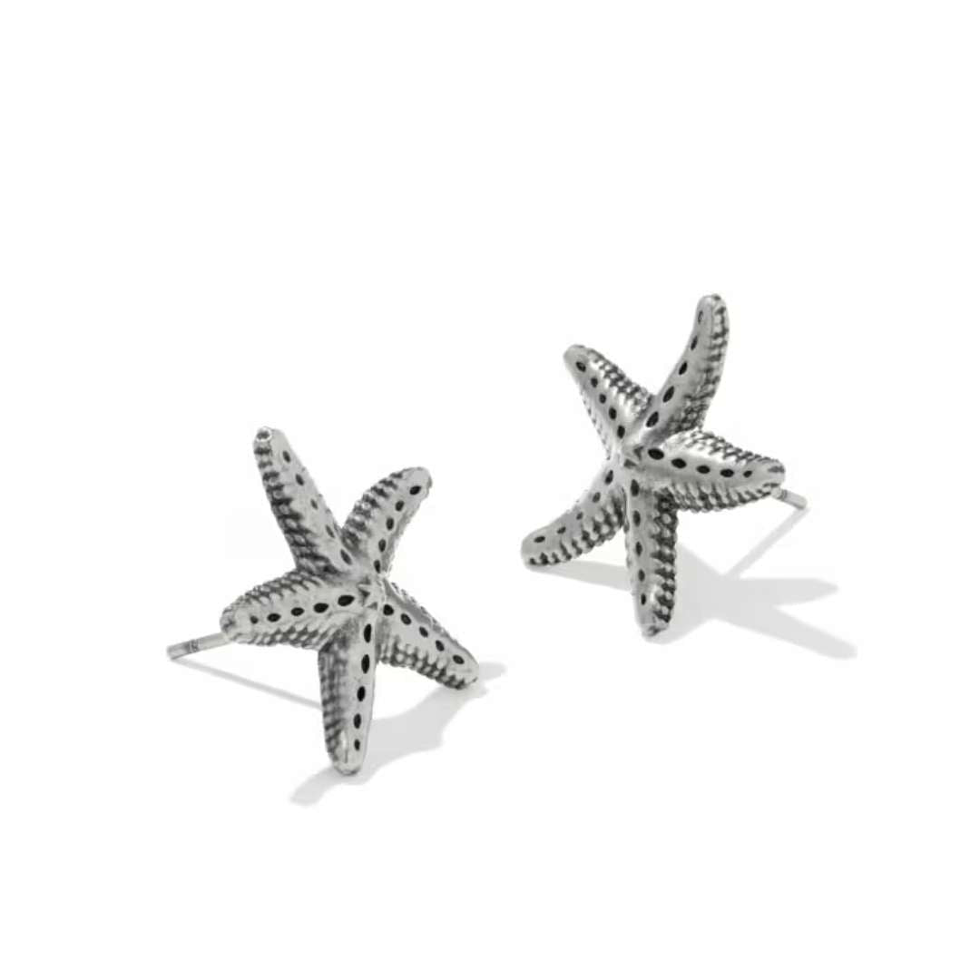 Kendra Scott Parker Starfish Stud Earrings - Kendra Scott