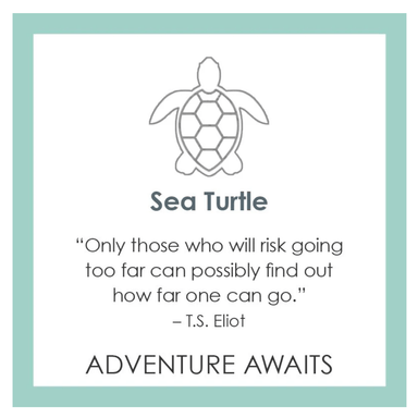 LOLA Sea Turtle Pendant - Light Blue - Mini - Lola