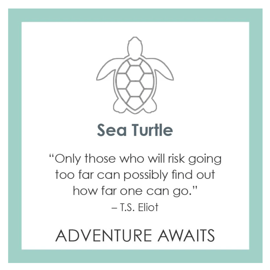 LOLA Sea Turtle Pendant - Light Blue - Small - Lola