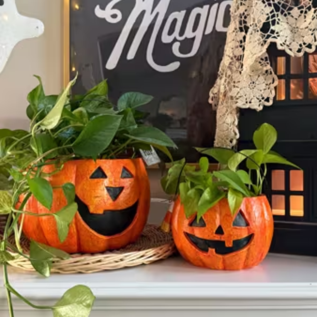 Mud Pie Jack-O-Lantern Treat Bucket - Mud Pie