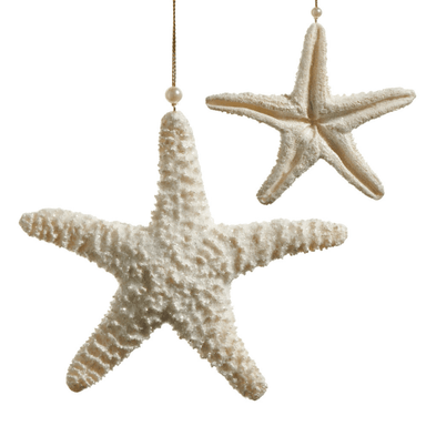 Raz Ivory Glitter Starfish Ornament - Raz Imports, Inc.