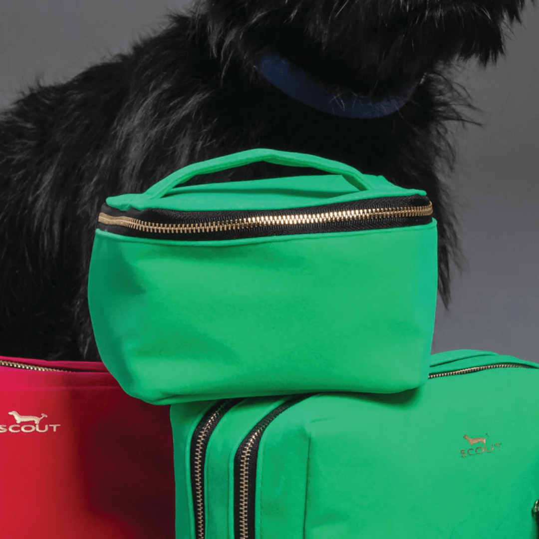 Scout Holiday Hidden Gem Jewelry Case - Scout by Bungalow