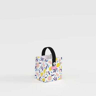 Scout X - S Gift Bag (Mini Package) - Scout by Bungalow