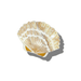Solar Eclipse Hand-Painted Claw Clip - Golden Sand Seashell - Solar Eclipse