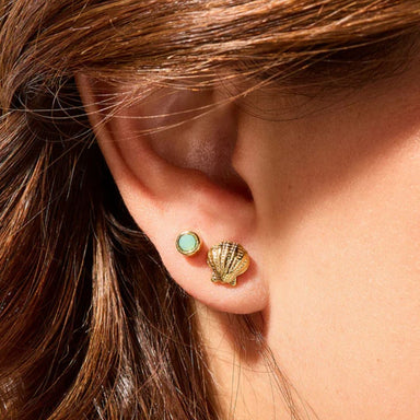 Spartina Splash Little Shell Stud Earrings Set - Spartina