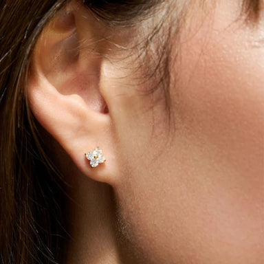 Spartina Splash Sparkly Clover Stud Earrings Set - Spartina