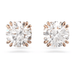 Swarovski Constella Crystal Studs - Rose Gold - Swarovski