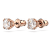 Swarovski Constella Crystal Studs - Rose Gold - Swarovski