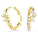 Swarovski Mesmera Hoop Earrings - Gold - Swarovski