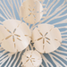 Teleties Flat Hair Clip - Sand Dollar - Teleties