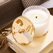 Thymes Frasier Fir Gilded Frosted Wood Grain Candle - Thymes