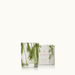 Thymes Frasier Fir Pine Needle Votive Candle - Thymes