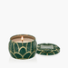 Voluspa Mini Tin Candle - Noble Fir - Voluspa