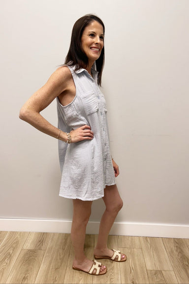 Z Supply New Light Mini Dress - Z Supply